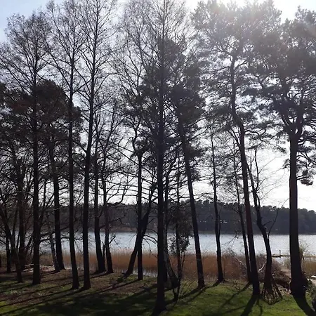 Haus Wilma Gruene Idylle Im Wald Direkt Am See Wendisch Rietz Exterior photo