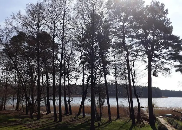 Haus Wilma Gruene Idylle Im Wald Direkt Am See