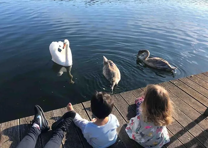 Haus Wilma Gruene Idylle Im Wald Direkt Am See