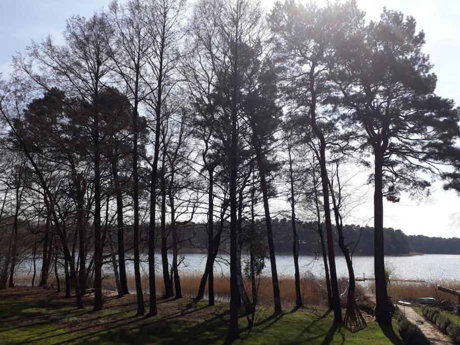 Vakantiehuis Haus Wilma Gruene Idylle Im Wald Direkt Am