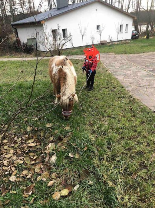 Haus Wilma Gruene Idylle Im Wald Direkt Am Vakantiehuis