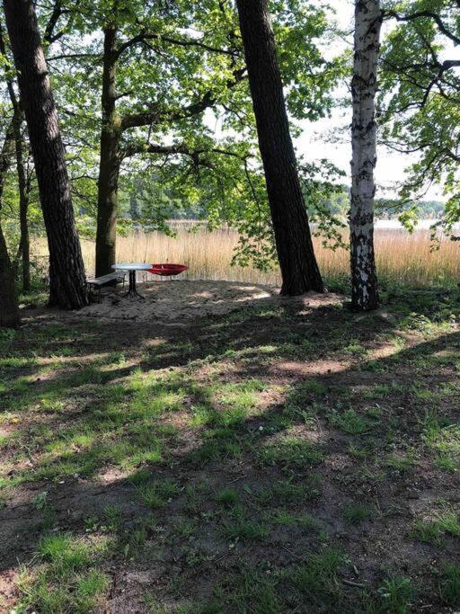 Haus Wilma Gruene Idylle Im Wald Direkt Am Vakantiehuis *